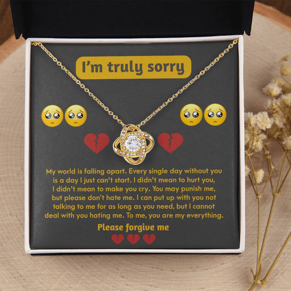 Sorry-Make You Cry