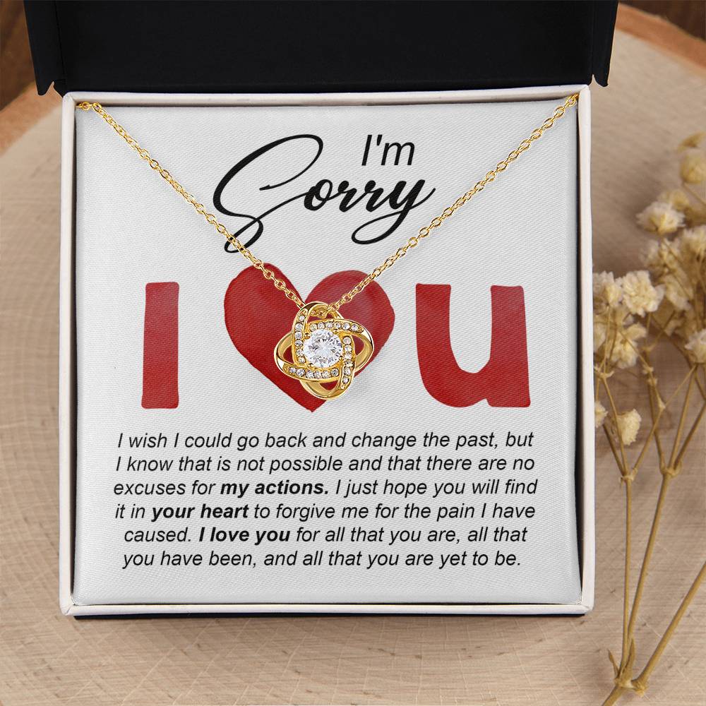 Sorry-Change The Past