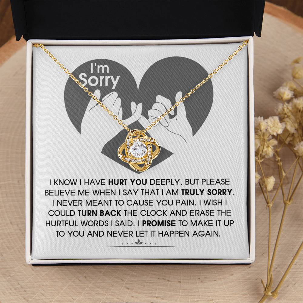 Sorry-Hurtful Words