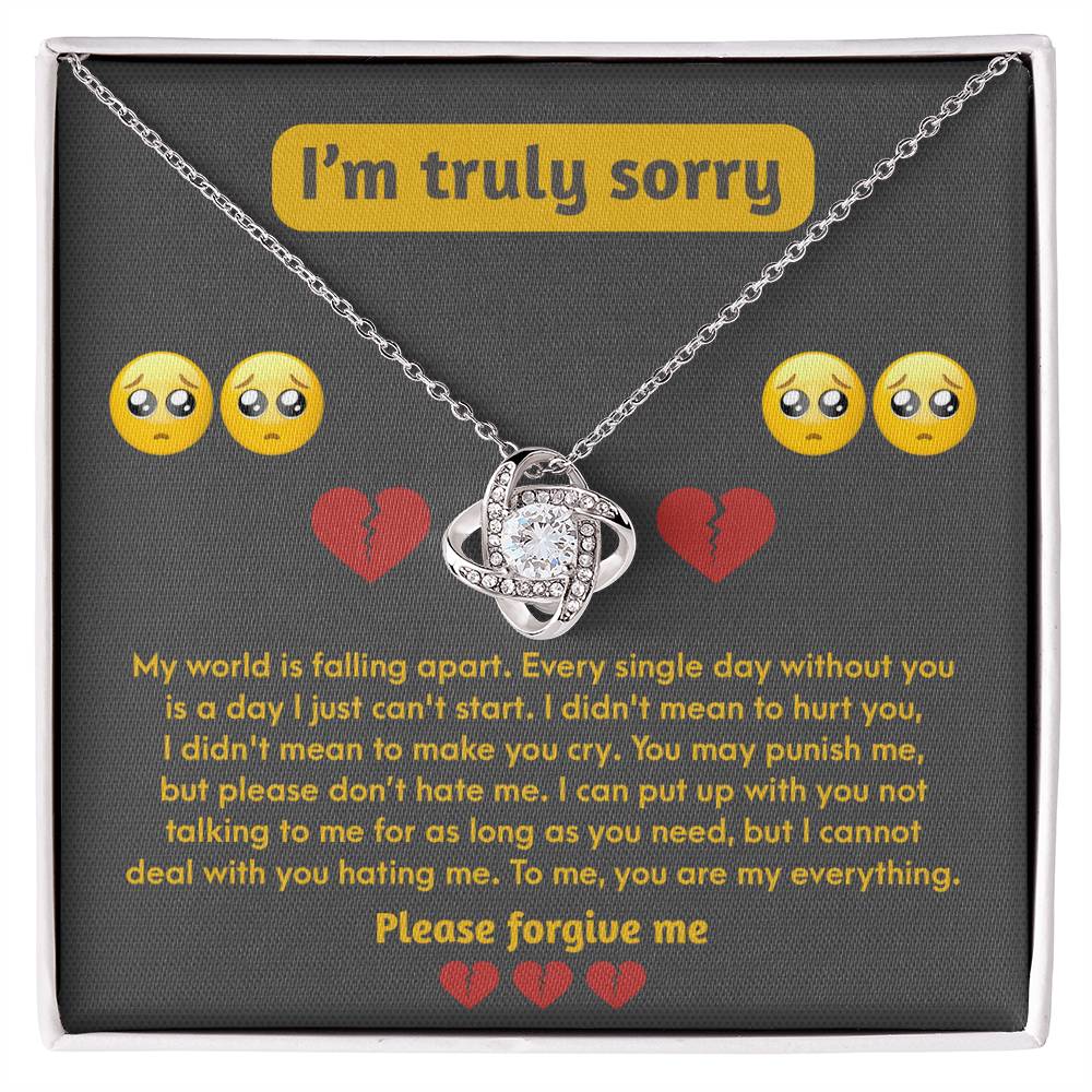 Sorry-Make You Cry