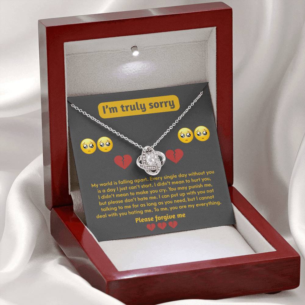 Sorry-Make You Cry