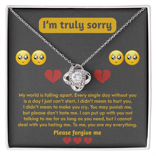Sorry-Make You Cry
