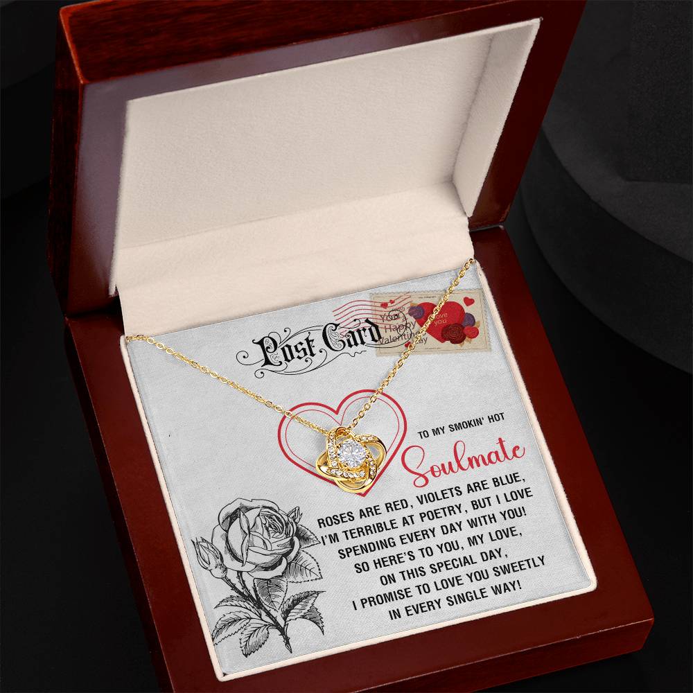 Soulmate-Special Day